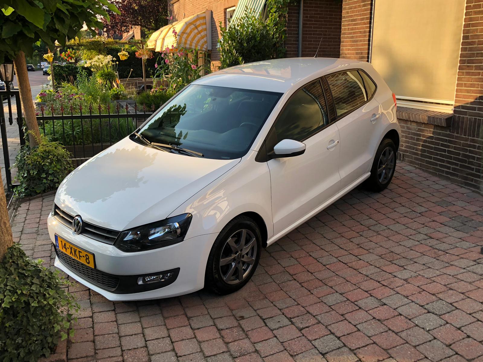 Polo-dorrestijnautos